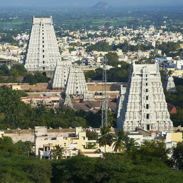 ENHANCING TAMILNADU WITH TIRUPATHI SPECIAL (2).jpg